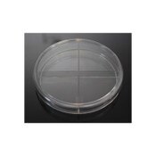 Petri Dish, 100 x 15 mm